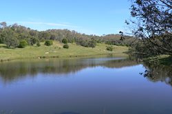 Eucumbene Trout Farm Lakeview Cottage Stoney Lake